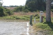 Picture of campsite with water and electric hookup backing up to the coastal vegetation and beach dune