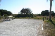 Picture of open sunny campsite with beach dune and coastal vegetation