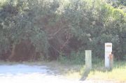 Picture of campsite with water and electric hookup backing up to the coastal vegetation and beach dune