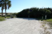 Picture of open sunny campsite with beach dune and coastal vegetation