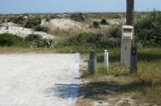 Picture of campsite with water and electric hookup backing up to the coastal vegetation and beach dune