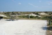 Picture of open sunny campsite with beach dune and coastal vegetation