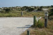 Picture of campsite with water and electric hookup backing up to the coastal vegetation and beach dune
