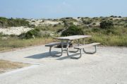 Picture of open sunny campsite with beach dune and coastal vegetation