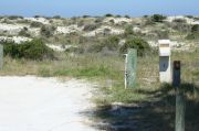Picture of campsite with water and electric hookup backing up to the coastal vegetation and beach dune