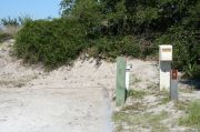 Picture of campsite with water and electric hookup backing up to the coastal vegetation and beach dune