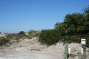 Picture of open sunny campsite with beach dune and coastal vegetation