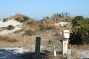 Picture of campsite with water and electric hookup backing up to the coastal vegetation and beach dune