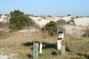 Picture of campsite with water and electric hookup backing up to the coastal vegetation and beach dune