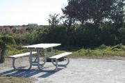 Picture of open sunny campsite with beach dune and coastal vegetation