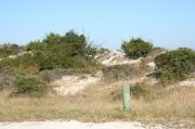 Picture of campsite amenities including campfire ring and picnic table
