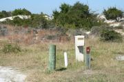 Picture of campsite with water and electric hookup backing up to the coastal vegetation and beach dune
