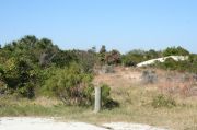 Picture of open sunny campsite with beach dune and coastal vegetation