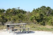 Picture of campsite amenities including campfire ring and picnic table