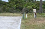 Picture of campsite with water and electric hookup backing up to the coastal vegetation and beach dune