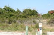 Picture of campsite with water and electric hookup backing up to the coastal vegetation and beach dune