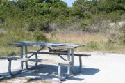 Picture of campsite amenities including campfire ring and picnic table
