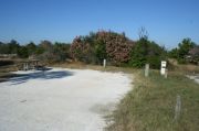 Picture of open sunny campsite with beach dune and coastal vegetation