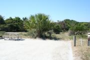 Picture of open sunny campsite with beach dune and coastal vegetation
