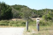 Picture of campsite with water and electric hookup backing up to the coastal vegetation and beach dune
