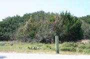 Picture of open sunny campsite with beach dune and coastal vegetation