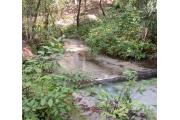 Photo: GOLD HEAD BRANCH SP