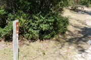 Close up of a brown campsite marker with arrow on a wooden post. There is grass and bushes in the foreground and a picnic table is visible in the background.