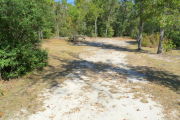 View of a vacant campsite with a fire ring and picnic table. The main part of the site is sandy with sparse vegetation and a mix of trees in the background. There are two medium sized trees on the left edge of the site and low bushes on the right edge. There is partial shade.