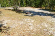 View of a vacant campsite with a picnic table, a fire ring, electric pedestal, and water spigot. A large dead tree is lying on the ground just beyond the back edge of the site and a small bush is located in the middle of the site. There is partial shade.