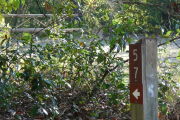 Close up of a brown site marker with an arrow on a wooden post. There are several bushes in the foreground and a picnic table is present in the background.