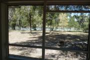 View from the porch of a historic cabin. A picnic table and fire ring is in the foreground and a line of trees and a beautiful blue lake are seen in the background.