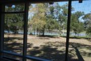 View from the porch of a historic cabin. A picnic table and fire ring is in the foreground and a line of trees and a beautiful blue lake are seen in the background.