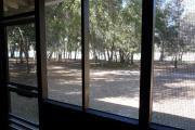 View from the back porch of a block cabin. In the foreground is a grassy area and a line of trees. A beautiful blue lake is in the background.