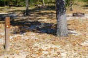 View of a vacant campsite with brown site marker and arrow. The campsite is partially shaded with sparse vegetation. Tall grass and bushes are seen in the background. There are several small trees on the edges of the site. Photo shows fire ring.