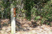 Close up of a brown campsite marker on a wooden post with grass in the foreground and thick bushes in the background.