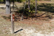 Close up of a brown site marker with an arrow on a brown post. There is sparse vegetation in the foreground. Just behind the site marker is a group of small trees and to the left of the marker is a medium sized tree.