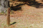 Close up of a brown campsite marker on a wooden post with grass in the foreground and a large tree behind the post.