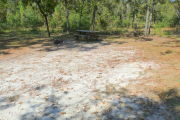View of a vacant campsite with a fire ring and a picnic table. The main part of the site is sandy with some grass on the edges. There is partial shade.
