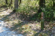 Close up of a brown campsite marker with and arrow on a wooden post. There is grass in the foreground. Behind the site marker is a mix of bushes and trees.