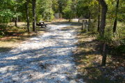 View of a vacant campsite with a fire ring, a picnic table, an electric pedestal, and a water spigot. The site has a hard packed surface with grass to the left side of site. Trees line both sides of the site and there is a wooden barricade on the back edge. The site is partly shaded.