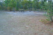 View of a vacant campsite with a fire ring, picnic table, electric pedestal, and a water spigot. The main part of the site is grassy and well shaded. There are several trees on the back edge of the site.