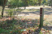 View of a vacant site with a brown site marker a wooden post. The site is grassy with some patches of sand. There is a fire ring, picnic table, electric pedestal, and a water spigot. The site has partial shade and a few small trees in the center of the site.