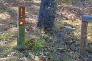 Close up of a brown site marker with an arrow on a wooden post. There is grass around the post and a tree to the right of the post.