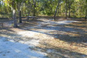 View of a vacant site with a picnic table and a fire ring. The main part of the site is sand with sparse vegetation. There is a medium tree in the middle of the site and a few other small trees. The site is well shaded.