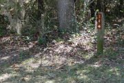 Close up of a brown site marker with and arrow on a wooden post. In the foreground is grass and there is a tree to the left of the marker. A variety of small bushes are in the background.