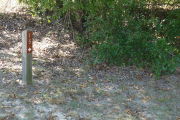 Close up of a brown site marker with an arrow on a wooden post. In the foreground is grass and there is a tree to the right of the marker. A variety of small bushes are in the background.