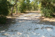 View of a vacant site with a fire ring. The main part of the site is sand. There is a variety of small trees and bushes along both sides. The site is well shaded and there are trees in the background.