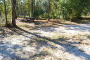 View of a vacant site with a picnic table and a fire ring. The main part of the site is sand and there is a medium size tree in the middle. The edges are lined with varying sized trees and the site is well shaded.