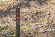 Close up of a brown site marker with an arrow on a wooden post. The marker is surrounded by grass.