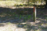 Close up of a brown site marker with an arrow on a wooden post. There are grasses and forbs present in the foreground and some tall grass and small trees in the background.